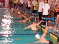 运动竞赛 精密计时 2015圣手杯游泳分龄锦标赛